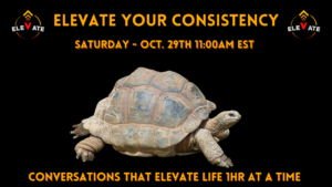 Read more about the article Elevate Your Consistency by Elevation Mindset