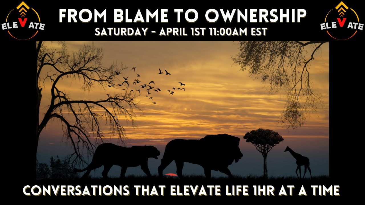 From Blame to Ownership by Elevation Mindset